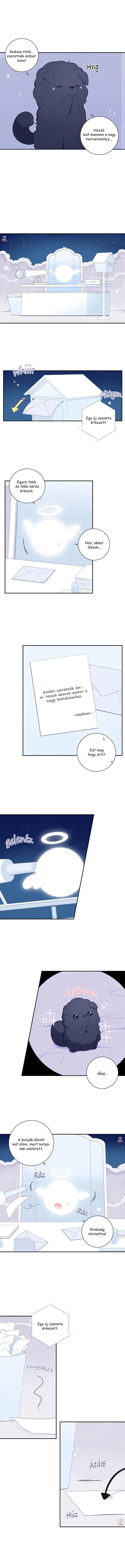 42905216 720 9025 203556